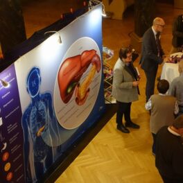 WPCD 2018